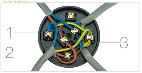 3 way junction box diagram|junction box wiring identification.